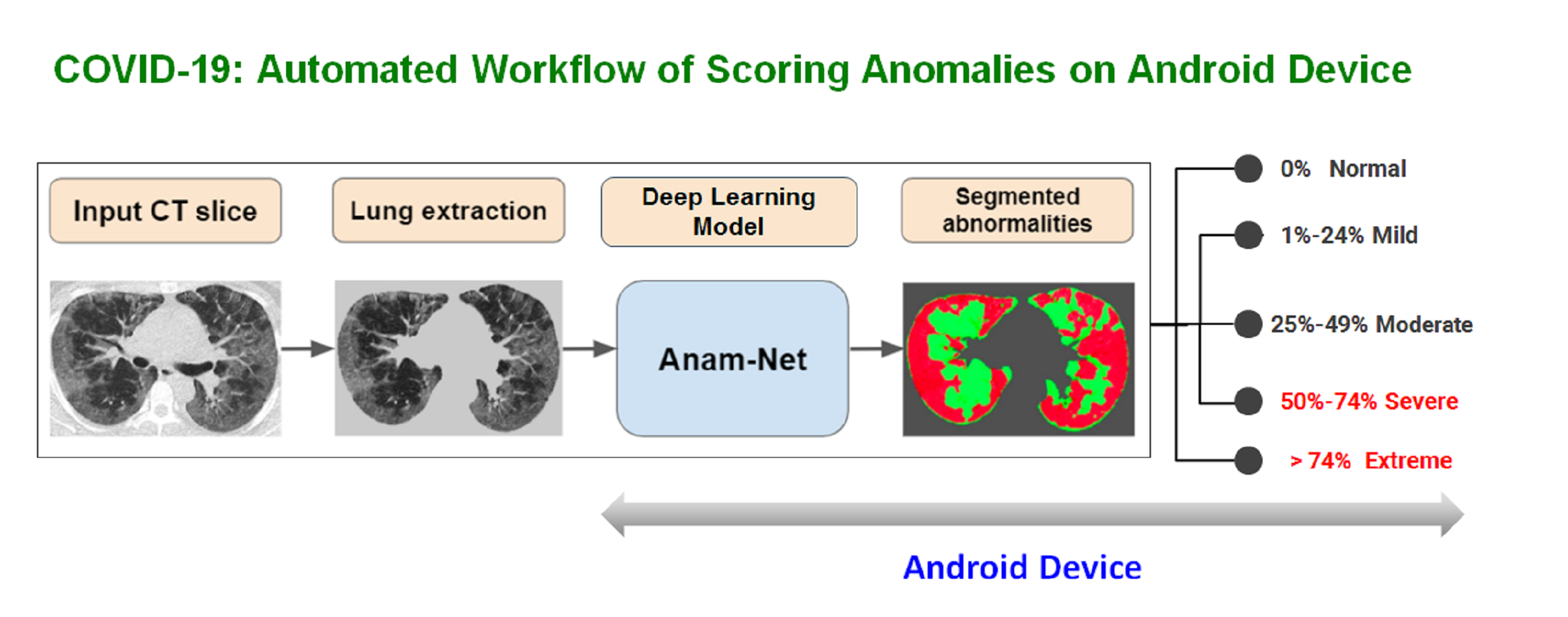 ANAMnet Key
                      Steps